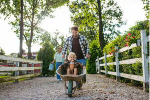 Father pushing toddler boy in, a Holiday Photo by HalfPoint