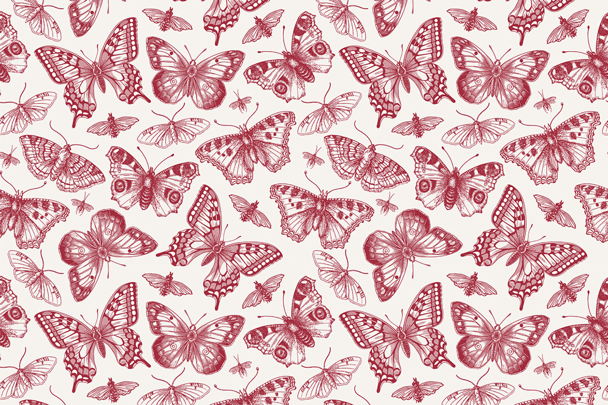 Seamless Butterflies Moth insects, a Pattern Graphic by Vintage (Photo 6 of 13)