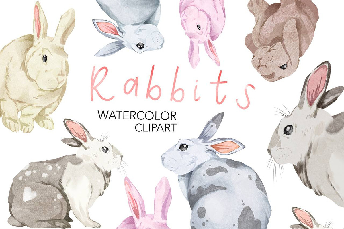 Watercolor Easter Clipart. Rabbit, an Animal Illustration by NKTKNS (Photo 1 of 4)