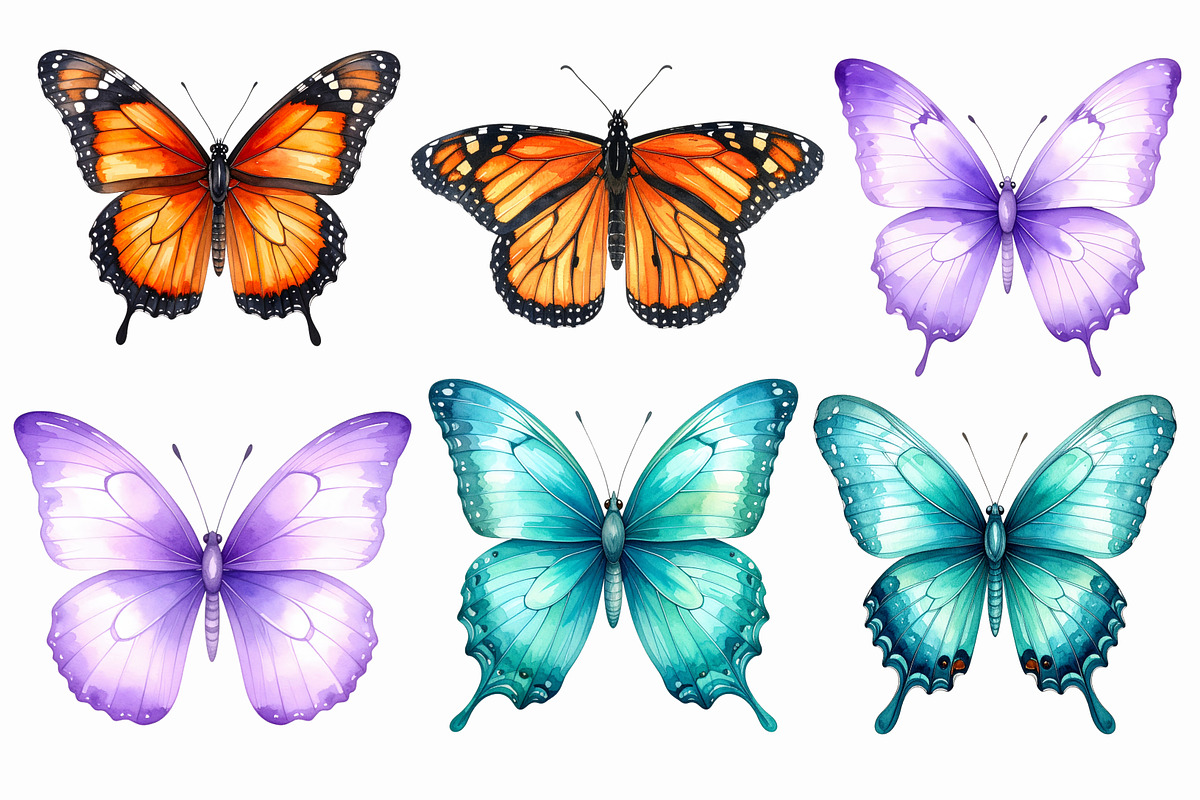 31 Watercolor Butterfly PNG Clipart, an Illustration by Print Haven (Photo 3 of 6)