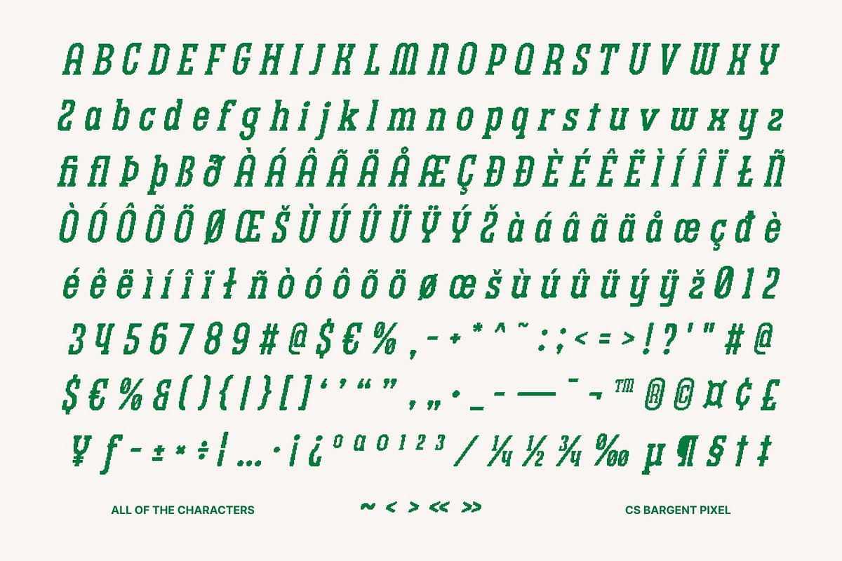 CS Bargent Pixel, a Slab Serif Font by Craft Supply Co. (Photo 8 of 8)