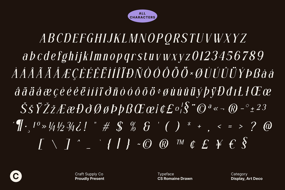 CS Alma Pixel, a Serif Font by Craft Supply Co. (Photo 8 of 8)