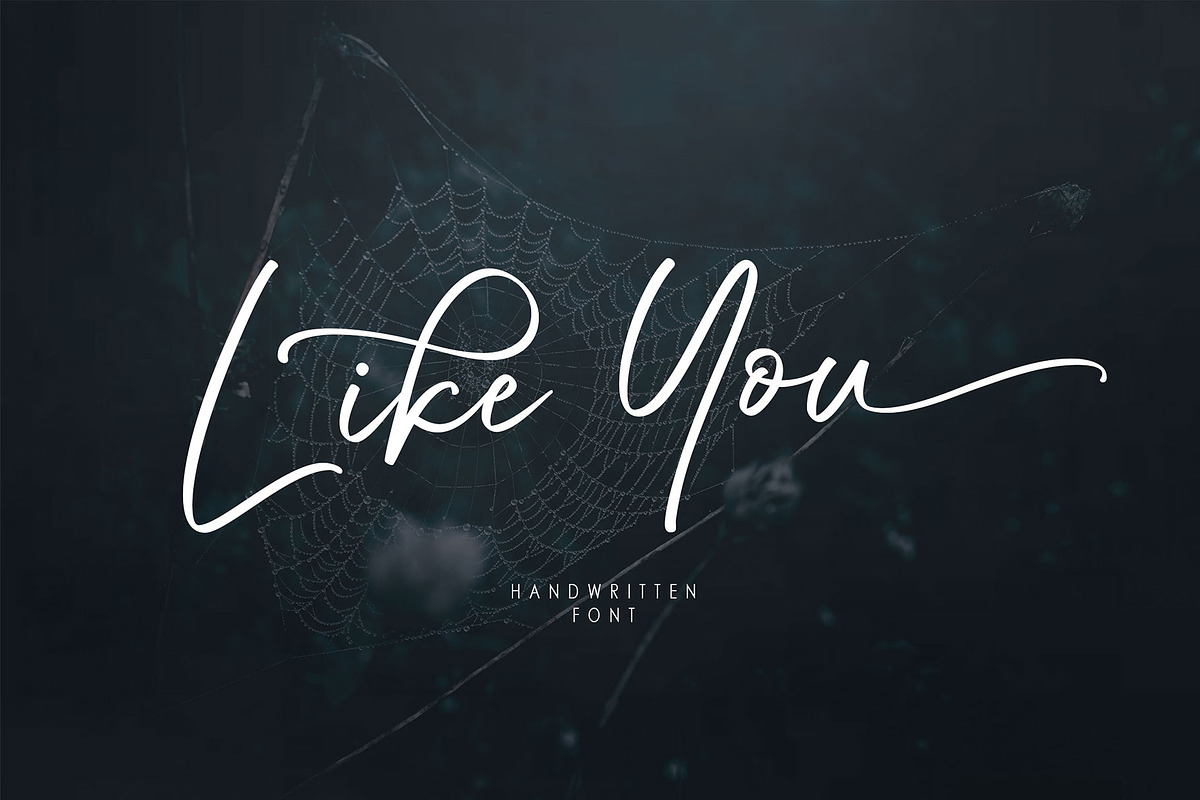 Through Script, a Script Font by moriztype (Photo 11 of 11)