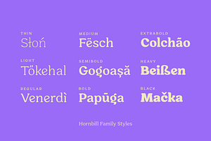 Hornbill; 18 Retro Fonts