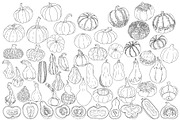 Pumpkins collection, an Object Illustration by Elena Mykhailenko (Thumbnail 2 of 4)