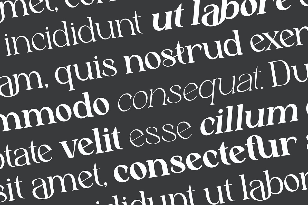 Astafine - Serif Typeface Family, a Serif Font by Rishsketch (Photo 4 of 16)