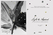 Light & Applied: Scanned Textures, a Texture Graphic by Purple (Thumbnail 11 of 22)