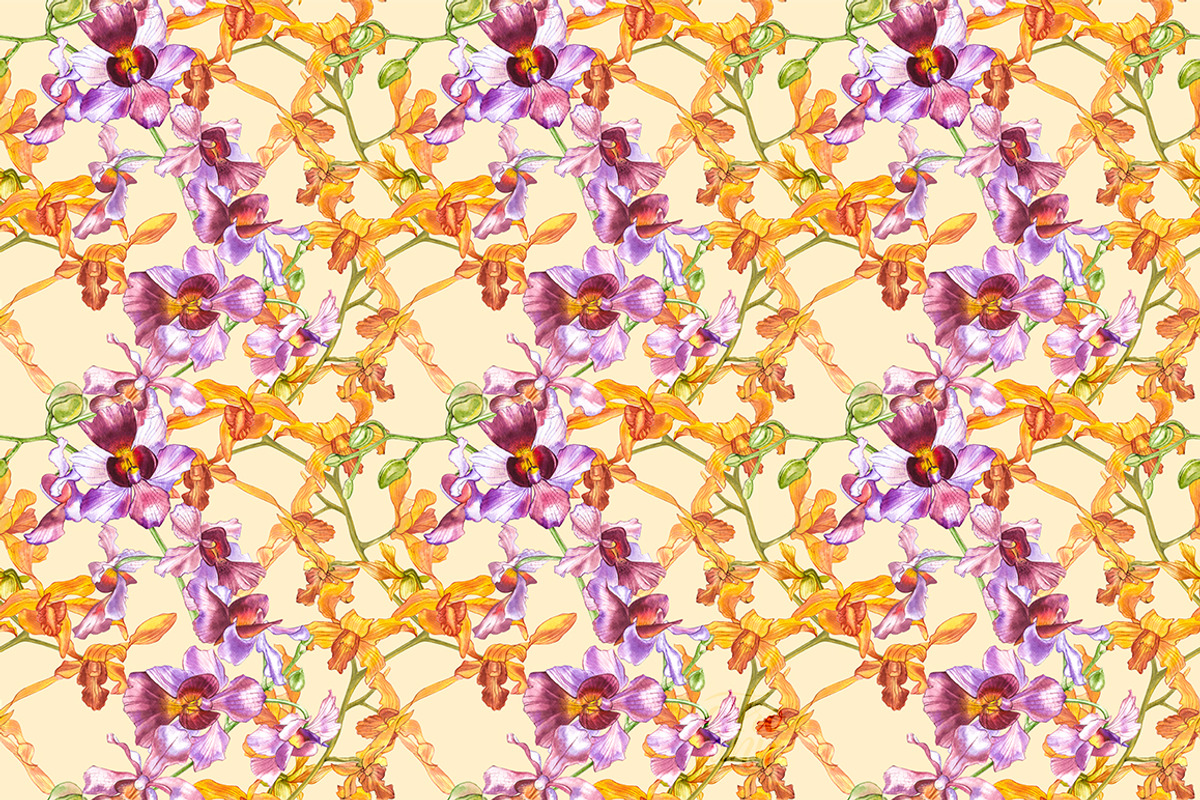 Orchids branch in botanical style, a Decorative Illustration by Ann Astro (Photo 15 of 15)