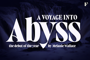 West West Condensed Serif, a Serif Font by Fenotype (Thumbnail 4 of 18)