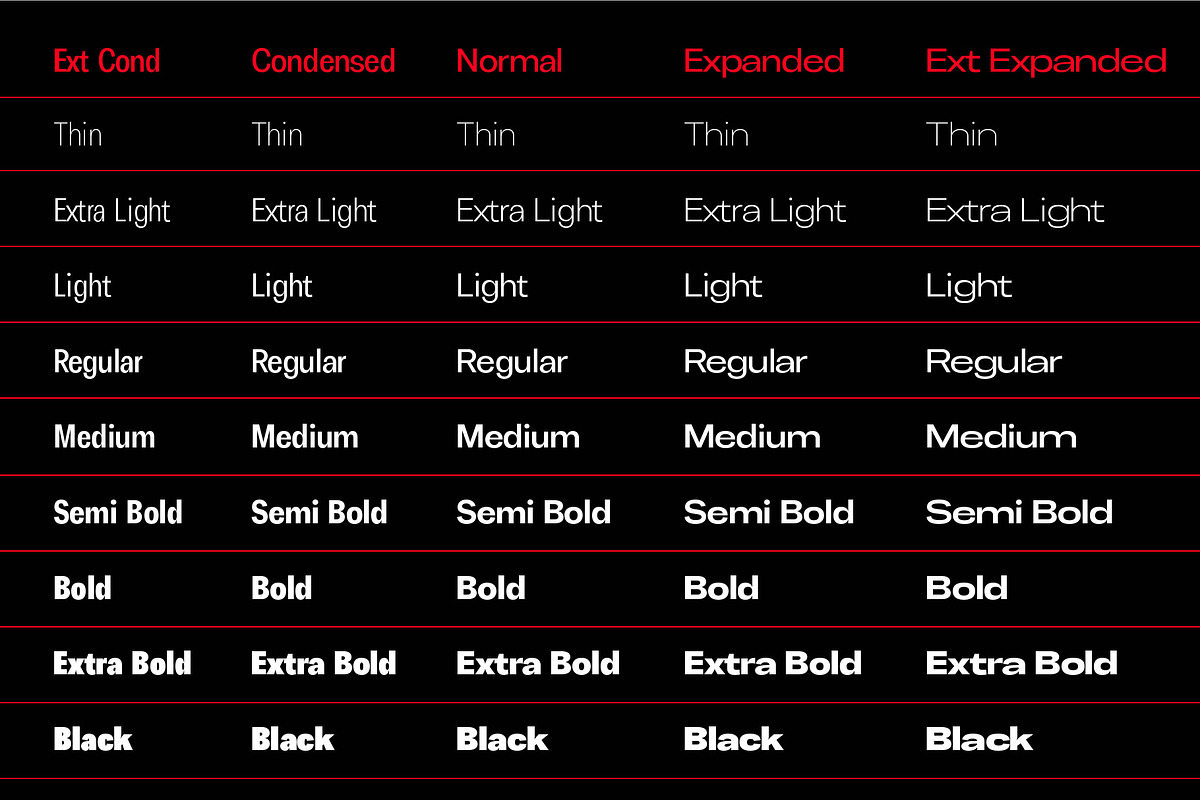ChairoNeue, a Sans Serif Font by Propertype (Photo 13 of 14)