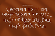 Meckora, a Serif Font by zaaintype (Thumbnail 6 of 10)