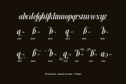 Dh Nottera Elegance - 7 Fashion Font, a Serif Font by Dharmas Foundry (Thumbnail 15 of 17)