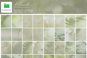 PENUMBRA Soft Green Blur Backgrounds, a Background Graphic by alonahaidash (Thumbnail 15 of 15)