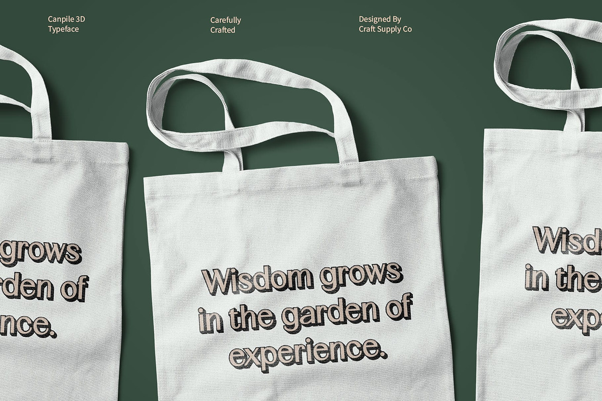 Canpile 3D, a Sans Serif Font by Craft Supply Co. (Photo 7 of 8)