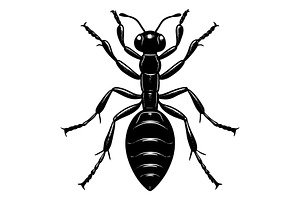 Ant, an Illustration by Mark1987