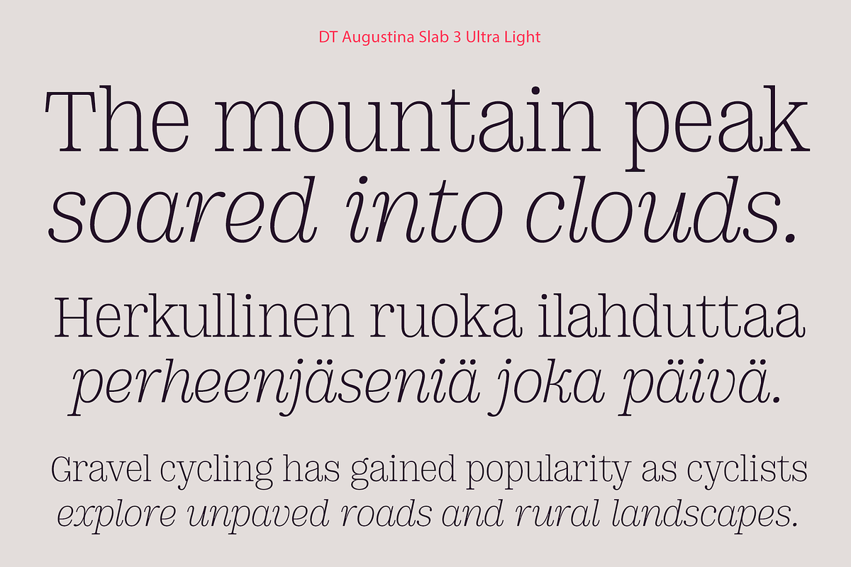 DT Augustina Slab 3 Subfamily, a Slab Serif Font by Deveze Type Foundry (Photo 4 of 31)