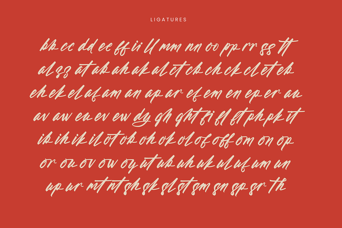 Aleghtoz Mountain Modern Script Font, a Script Font by stylishtype.co (Photo 19 of 20)