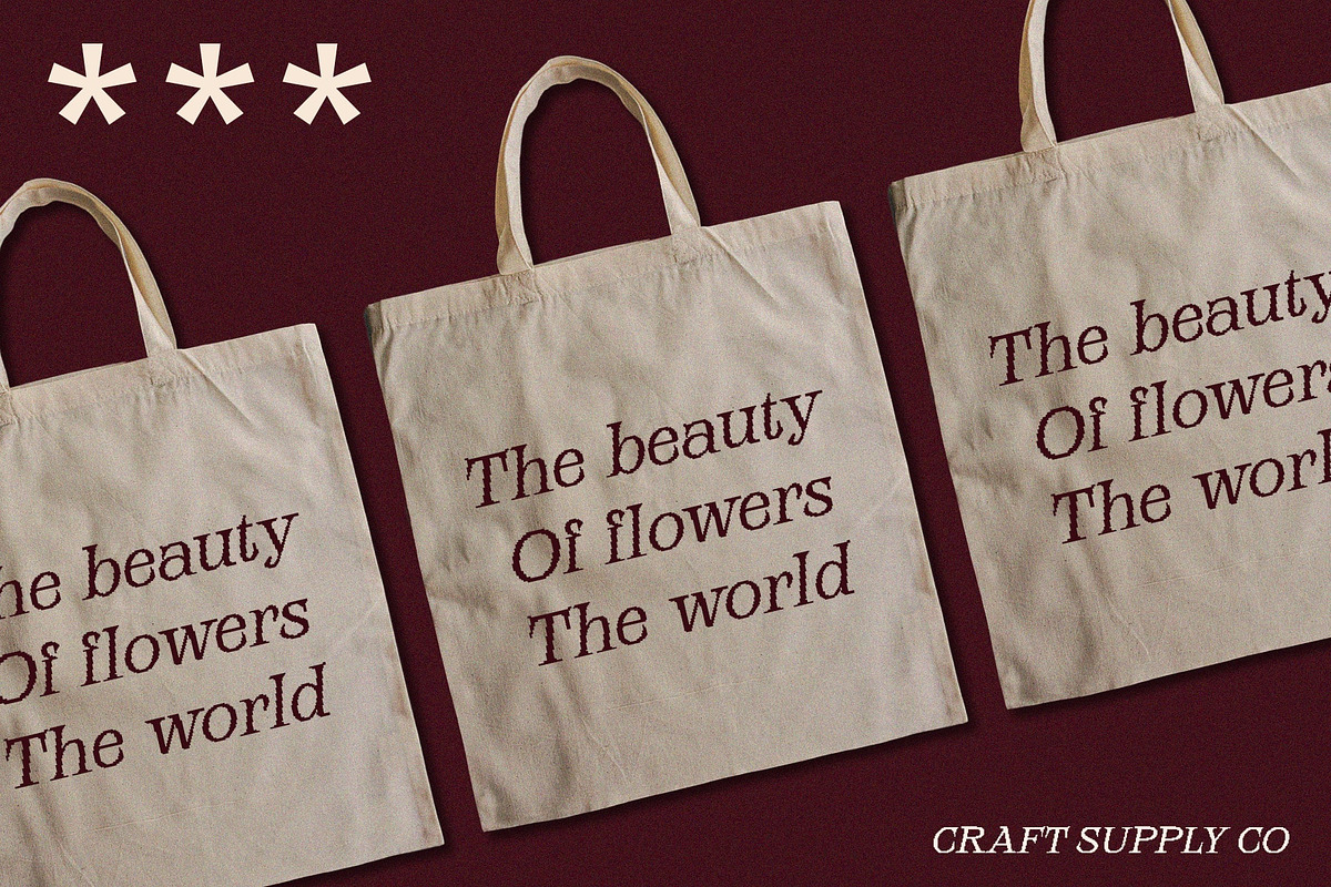 Alfena Pixel, a Serif Font by Craft Supply Co. (Photo 3 of 8)