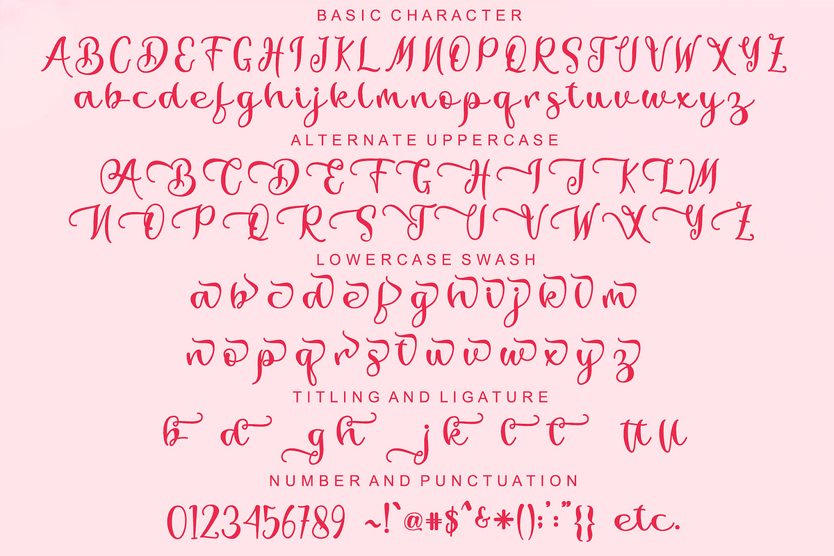 Ladysta, a Script Font by Letterafa Studio (Photo 6 of 8)