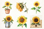 Watercolor Summer Sunflower Clipart, an Illustration by Pixels.Craft (Thumbnail 3 of 7)