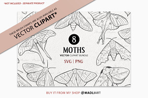 Moth Procreate Brush Stamps