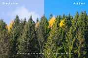 Ever Green 10 Lightroom Presets., an Action Add-On by MorningStar (Thumbnail 4 of 11)