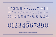 Alurane Elegant Display Serif Font, a Serif Font by Rasio Studio (Thumbnail 3 of 10)