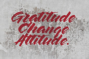 The Flower City, a Script Font by wubstudio (Thumbnail 6 of 6)
