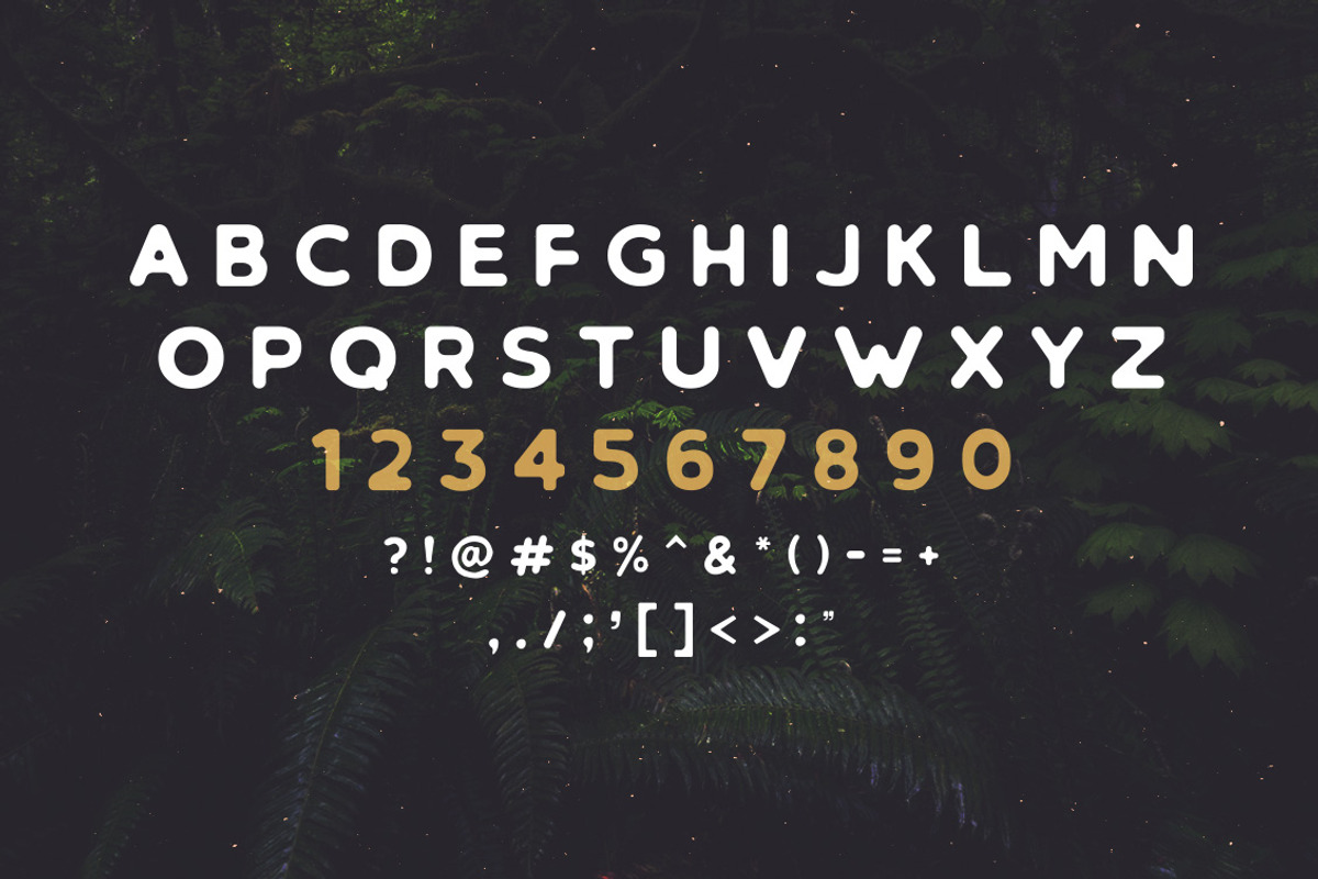 Retrospective Bundle - Fonts & Logos, a Handwritten Font by Roman Paslavsky (Photo 16 of 18)