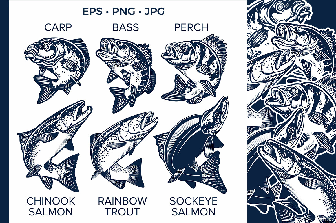 Set of Fish Emblems, an Animal Illustration by Moloko88
