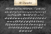 Wolenta Skyline - Lovely Script, a Handwritten Font by ErgibiStudio (Thumbnail 10 of 10)