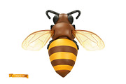 Honey, bees, beehive on tree branch, an Animal Illustration by Allevinatis Studio (Thumbnail 3 of 5)