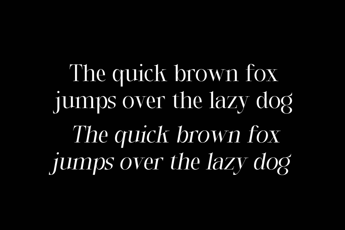 Shader Macalife, a Serif Font by Zelda Graphic (Photo 4 of 8)