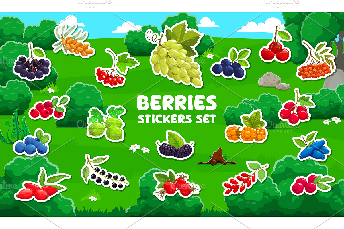 Cartoon garden and forest berries, a Food Illustration by Vector Tradition