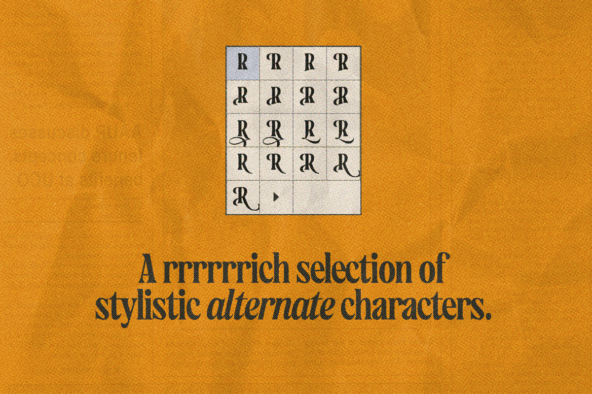 Hickory Dickory • A Stylish Serif, a Serif Font by Vintage Voyage Supply (Photo 5 of 17)