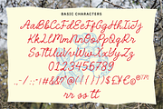 Moonberry Vintage Handwritten Script, a Handwritten Font by Namela Studio (Thumbnail 8 of 8)