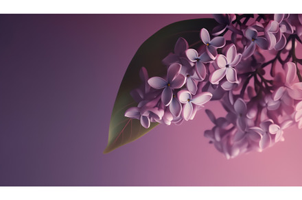 Blossoming Lilac Branch, Generative, a Nature Photo by BazziBa♥