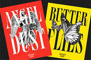 Silvermist Display Serif, a Serif Font by Letteralle Studios (Thumbnail 4 of 9)