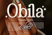 Buctera - Elegant Retro Serif Font, a Serif Font by Flawless And Co (Thumbnail 3 of 10)