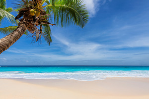 Tropical paradise beach stock photo containing beach and sand, a Nature Photo by Lucky Photographer