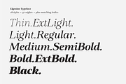 Elgraine – 18 Fonts, a Serif Font by Nasir Udin (Thumbnail 10 of 14)