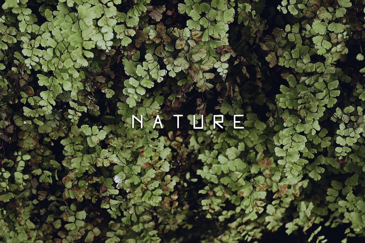 Dynamic Font, a Sans Serif Font by RedRiver Studio (Photo 3 of 6)