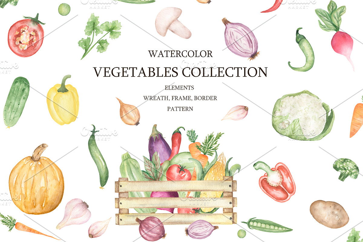 Watercolor Vegetables Collection, a Food Illustration by MayaNavits (Photo 1 of 12)
