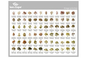 72 Autumn Trees Photo Overlays, a Nature Photo by KenScape (Thumbnail 3 of 3)