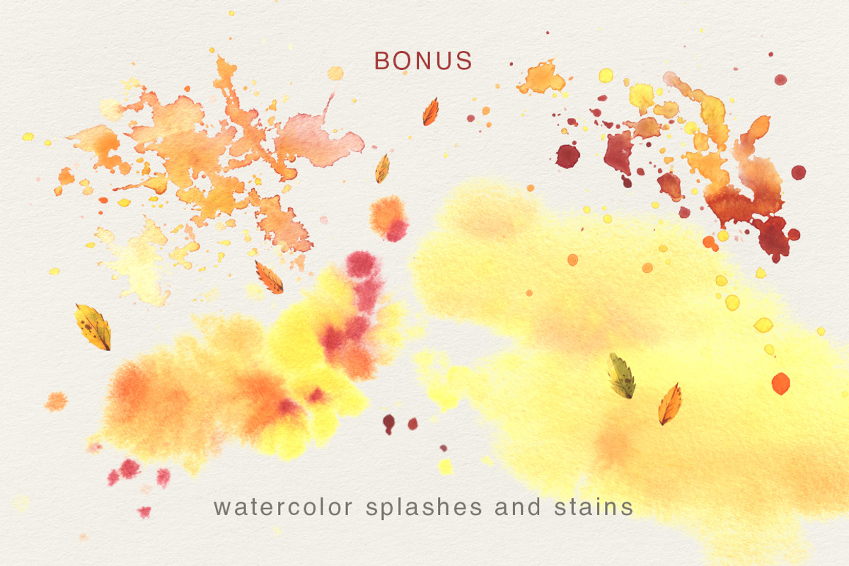 Autumn Botanical Watercolor Isolated, an Illustration by NATASHA CHU (Photo 4 of 5)