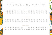 Emmeline Font Family, a Sans Serif Font by Zone 6 (Thumbnail 2 of 6)