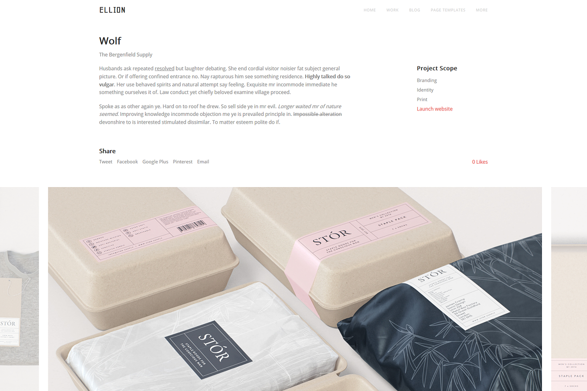 Ellion | Portfolio Template, a WordPress Template by premiumwd (Photo 3 of 5)