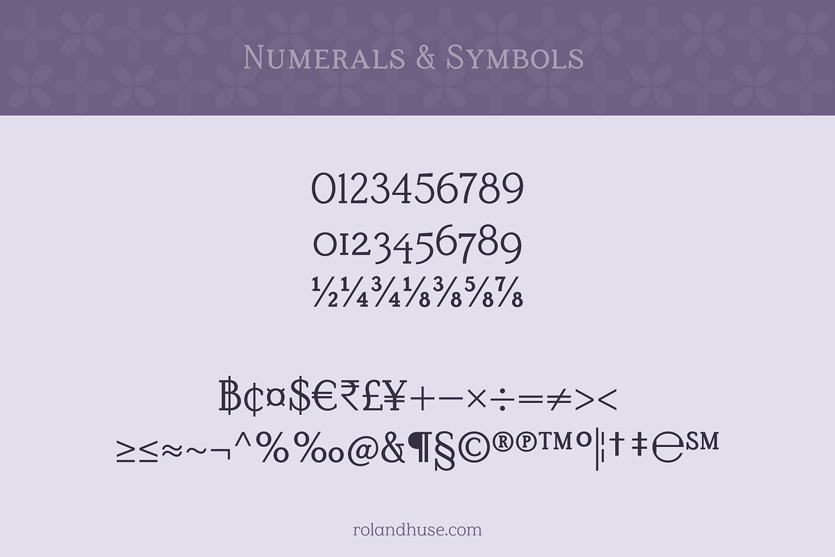 Lilac Block Weight Variable Serif, a Font by Roland Huse Design (Photo 5 of 6)