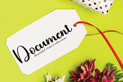Hibis | Script Font, a Script Font by Scratchones (Thumbnail 6 of 8)