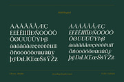 Heading South | Retro serif, a Serif Font by ClevUs (Thumbnail 14 of 14)